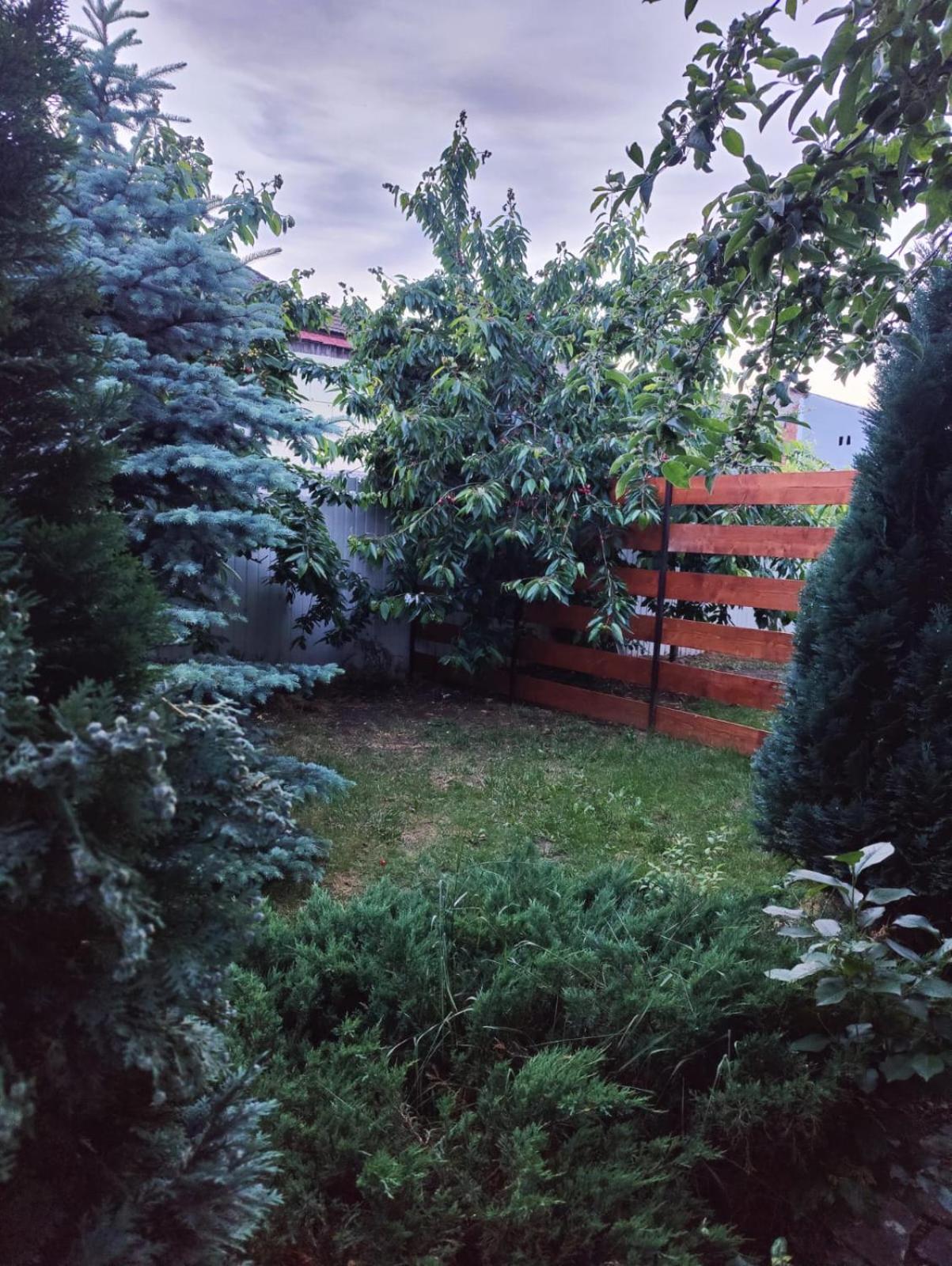 Luxus Cluj Airport Apartments מראה חיצוני תמונה