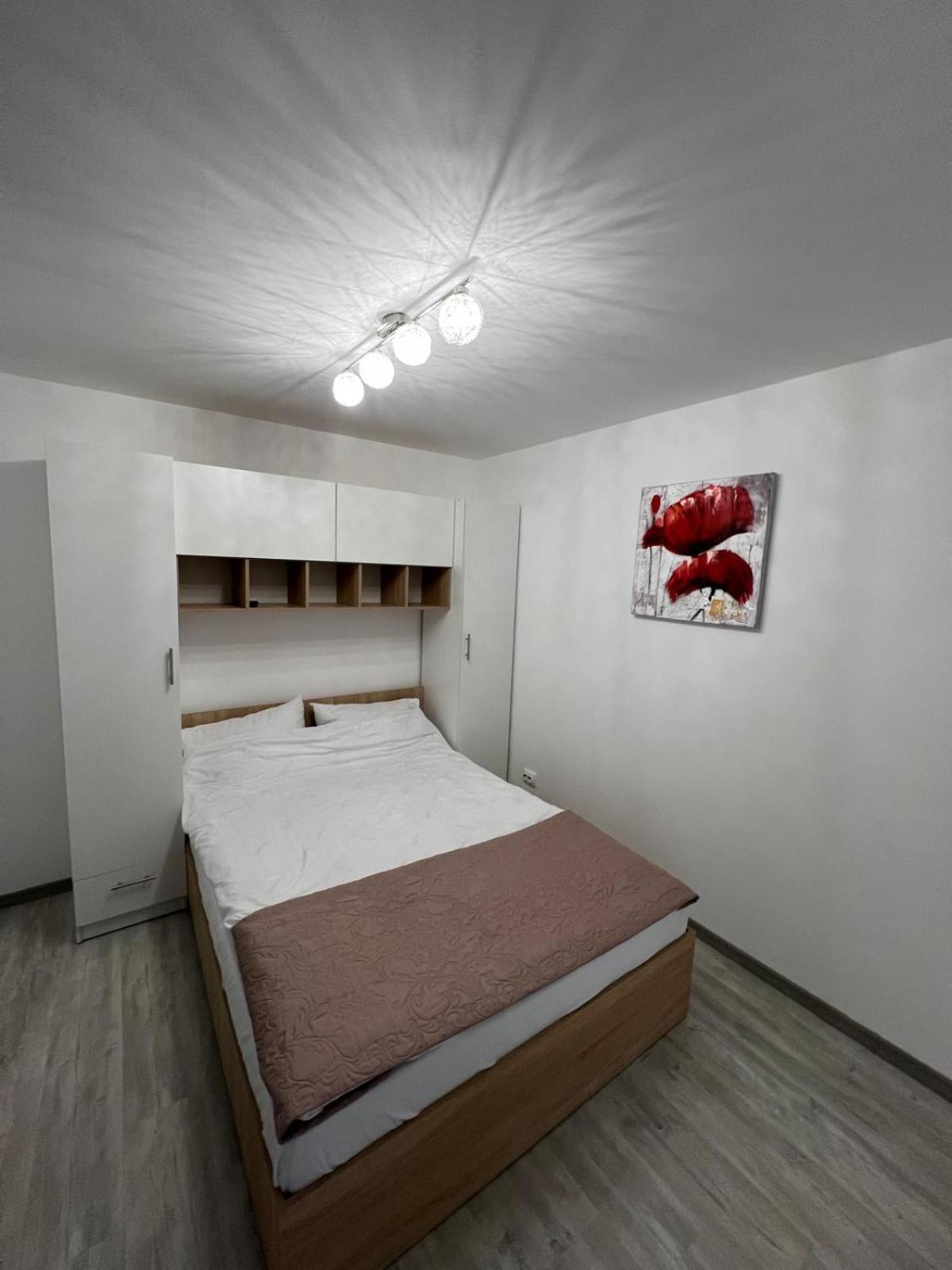 Luxus Cluj Airport Apartments מראה חיצוני תמונה